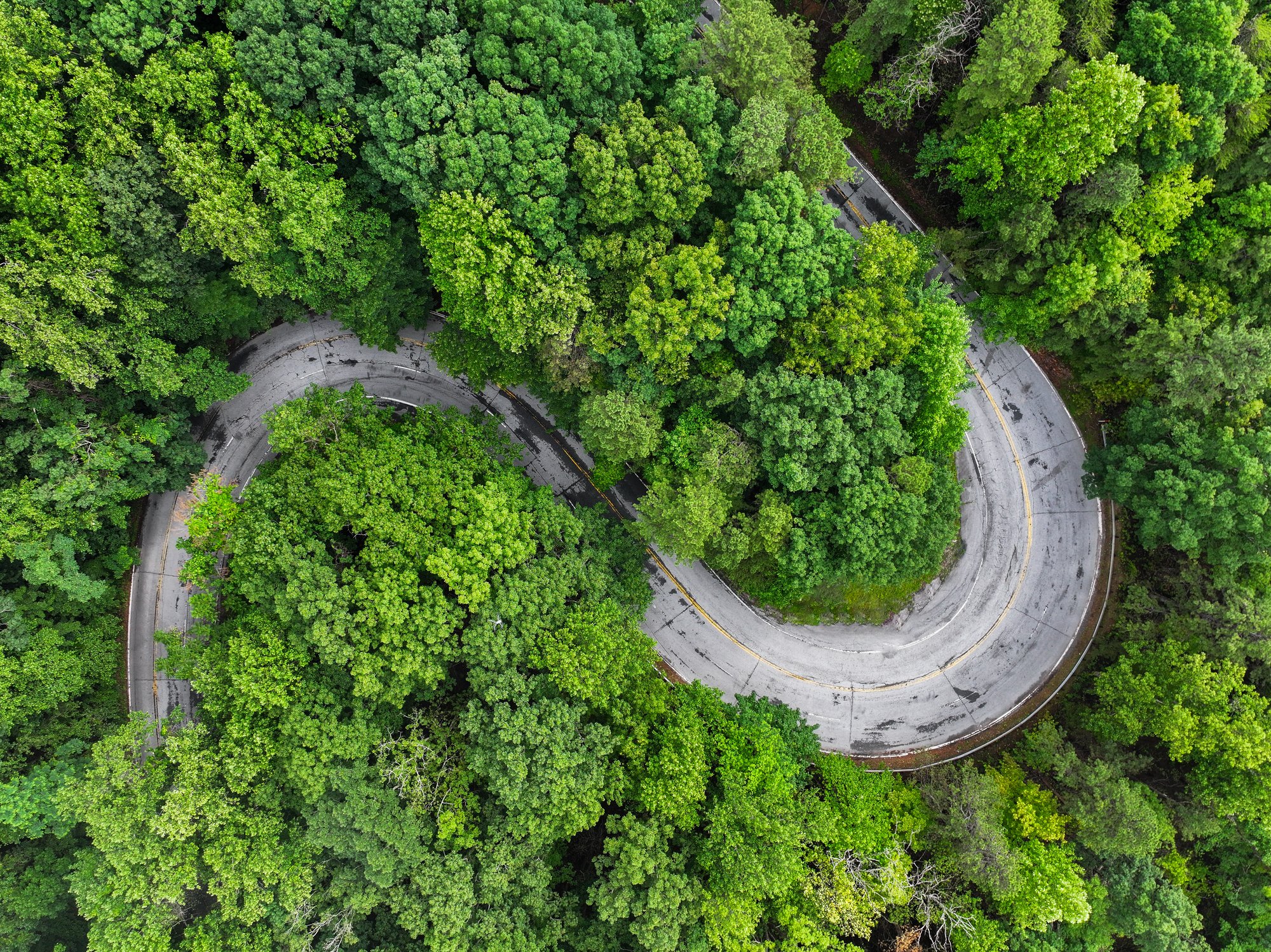 Carolina Multisports at the Carolina Hills Classic 