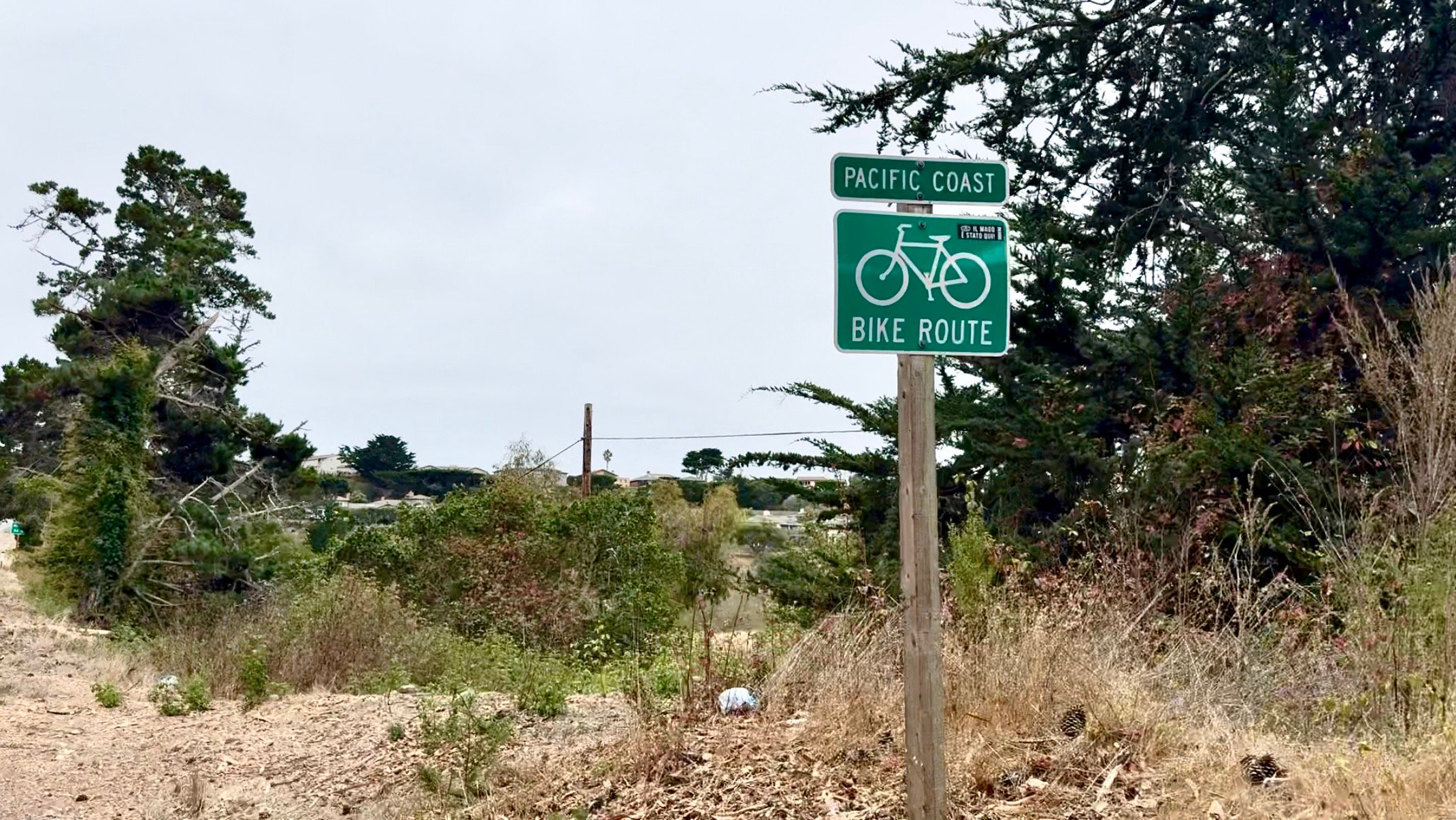 Carolina Multisports on the Pacific Coast Highway