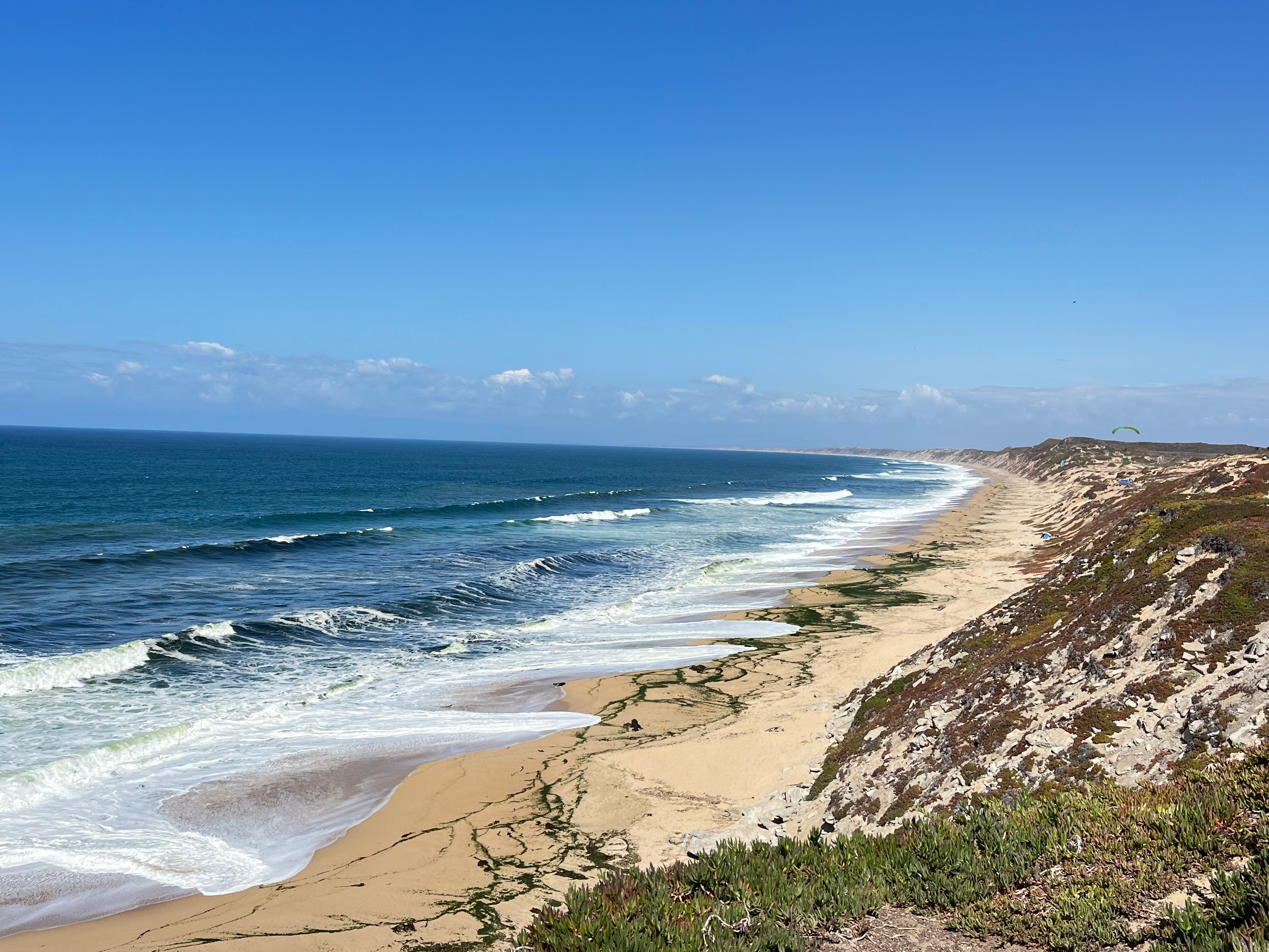 Carolina Multisports in Monterey