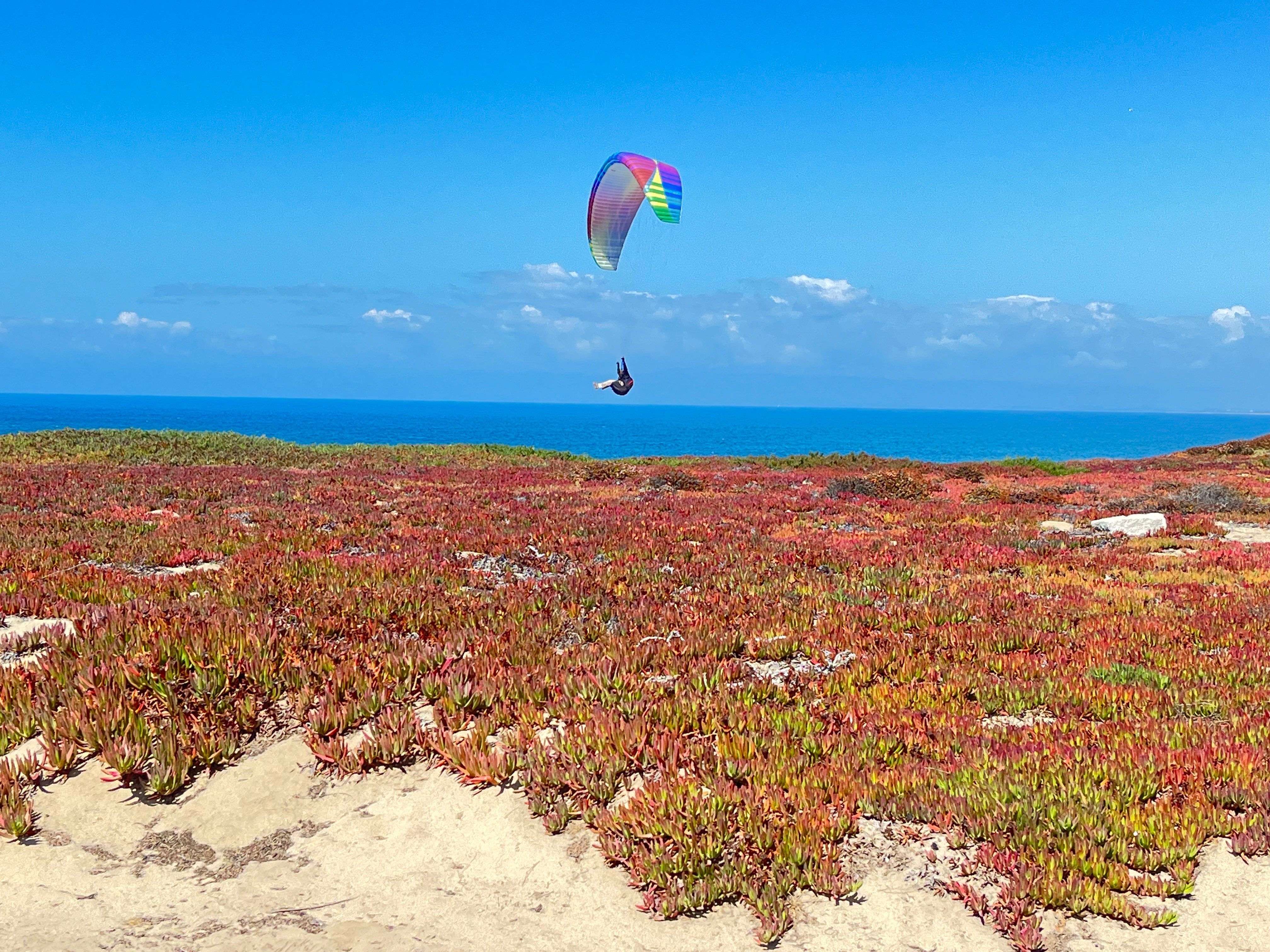 Carolina Multisports in Monterey