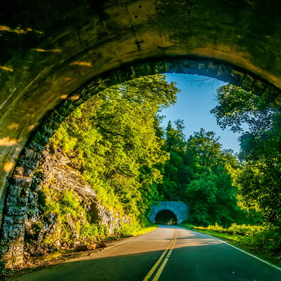 Twin Tunnels BRP copy