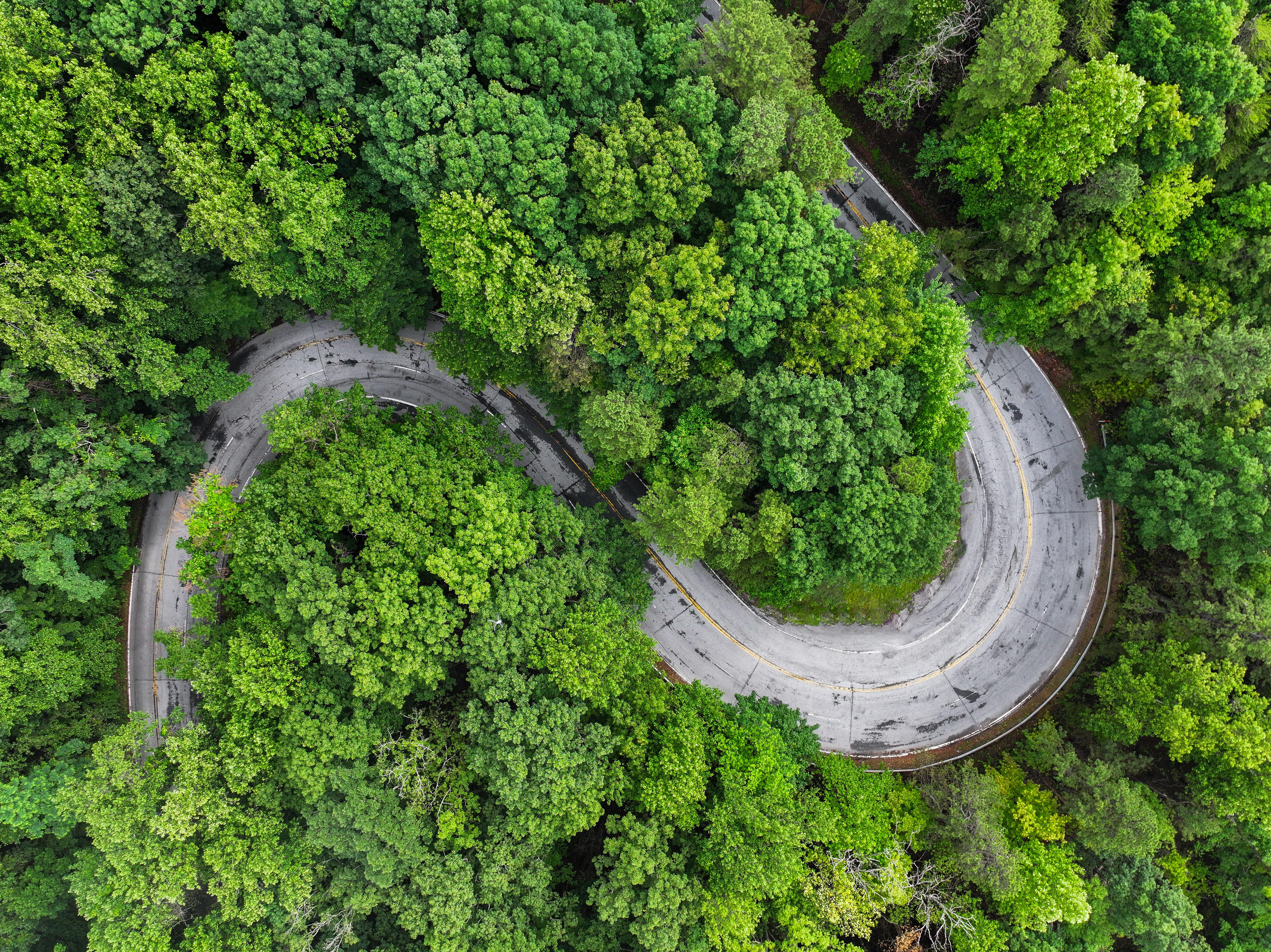 Carolina Multisports cycling in the Blue Ridge Mountains