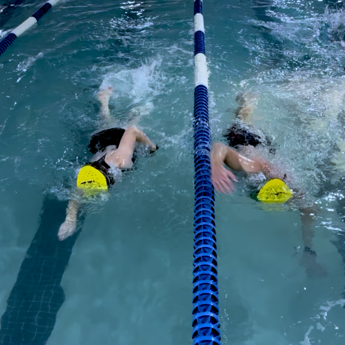 Carolina Multisports Group Swim Sessions